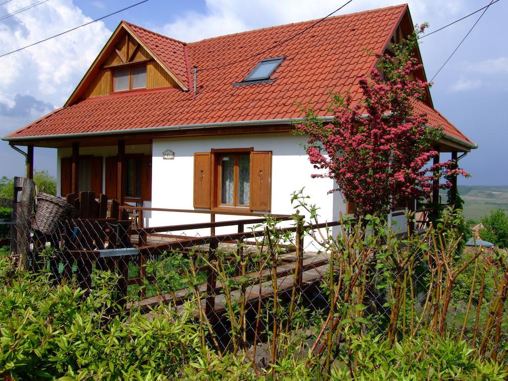 Kalaris Vendeghaz Apartment Holloko Luaran gambar